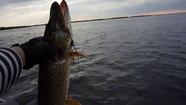 Извращенцы. смотреть онлайн