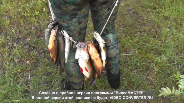 Подводная охота,выход из воды,озеро Вторая нырялка в жизни Июль 2013 смотреть онлайн