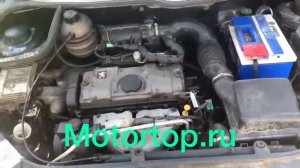 Отзыв владелицы автомобиля Peugeot 306