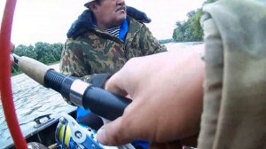 "Открытие сезона 2021" рыбалка на реке Дон. Сом на "Rapala tail dancer"