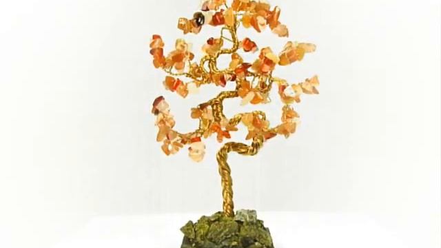 СОСНА КАРЕЛЬСКАЯ - долголетие и чистота aрт. 134 смотреть онлайн