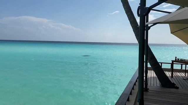 Полный тур по Мальдивам / One&Only Reethi Rah Maldives 2020  Full Tour Experience