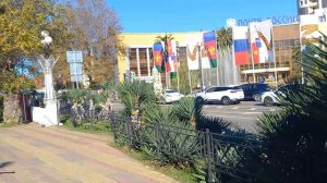 Сочи.ноябрь 2023.Прогулка.