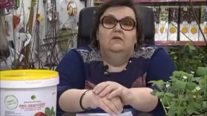 Коллекция садовой земляники сезона-2017: саженцы 22 лучших сортов!