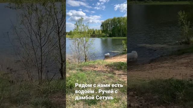 Река Сетунь , рядом с нашим домом