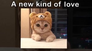 A new kind of love - frou frou (sped up)