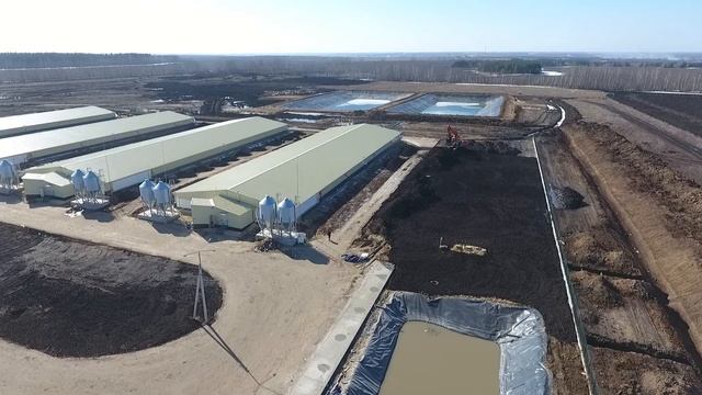 Знаменка 1. Свинокомплекс смотреть онлайн