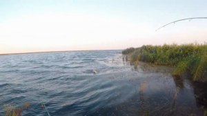 Щука и окунь на спиннинг. Осенняя ловля щуки и окуня.