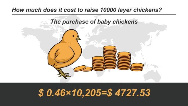How much does it cost to raise 10000 layer chicken? - RETECH Farming chicken cage смотреть онлайн