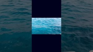 Отель Gravity Hotel & Aqua Park Sahl Hasheesh 5* Египет полный обзор