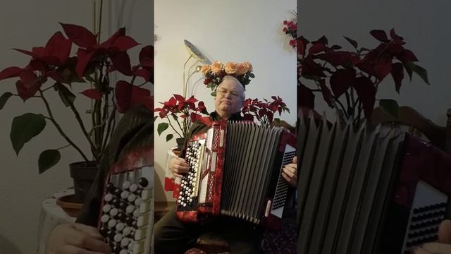 Вишнёвый цвет. смотреть онлайн