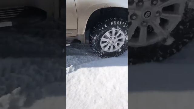 Toyota Land Cruiser 200 , лендкрузер 200, лк200, Спущенные колеса до 0.4 ,по сугробам, сверху снега