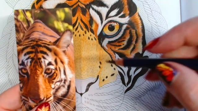 ? LIVE TIGER part 2 : using GOUACHE for a fur effect - ANIMAL ADVENTURES - Millie Marotta смотреть онлайн