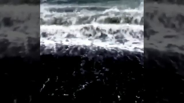 стихотворение Я любил её.. смотреть онлайн