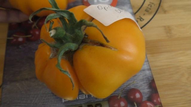 Какие томаты показывают лучшие результаты смотреть онлайн