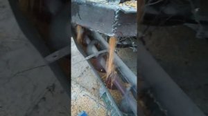 Самодельная сушарка, сушит кукурузу