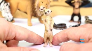 Safari Zoo Wild Animals Toys Schleich Toys Collection - Learn Animal Names For Kids