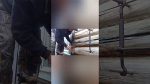 Ремонт сруба.