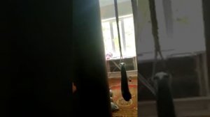 Боксерский мешок 50 кг (груша) - Отзыв клиента
