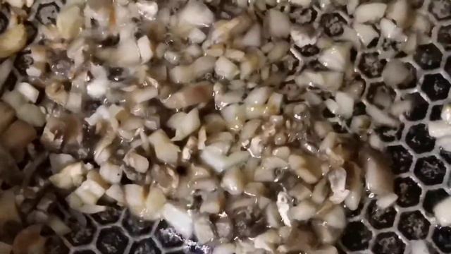 ФАРШИРОВАННЫЕ ШАМПИНЬОНЫ с Курицей и Сыром