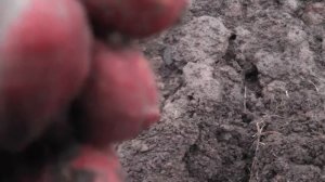 небольшая вылазка на коп,добиваем мусорку снайперкой