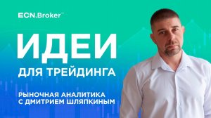 ИДЕИ ДЛЯ ТРЕЙДИНГА. Ежедневная аналитика рынка с Дмитрием Шляпкиным, 11 октября. Мажорные пары