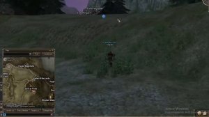 Black Leopard (18) (Passive) (NPC Quest Monster)- Database Lineage 2