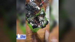 мусорка кормит