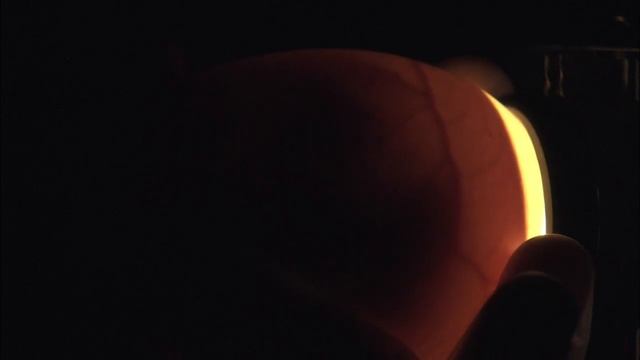 First California Condor Chick of the Season смотреть онлайн