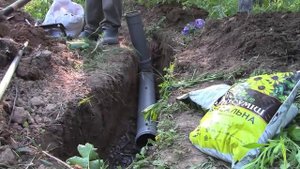 Посадка винограда и устройтство системы полива
