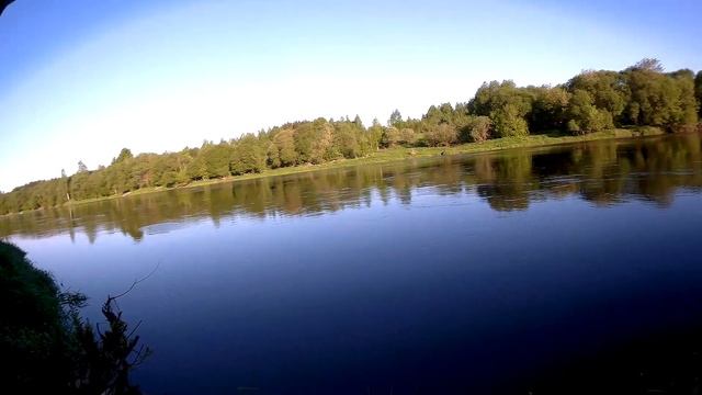 Ловля в проводку на пшеницу река Днепр