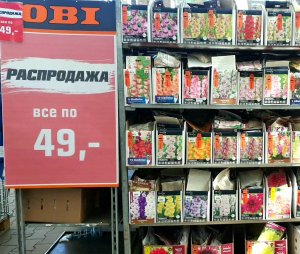 ОБИ⚘?РАСПРОДАЖА ЛУКОВИЧНЫХ?☘(+немного старой уценки цветов)⚘