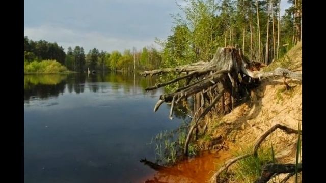 The nature of the Ryazan region. / Природа Рязанского края.