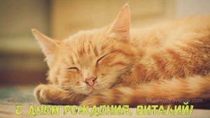 С Днем рождения, Виталий!