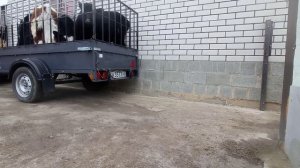 Продал быков, купил подрощенных телят. Ездил смотрел, как поживает наш хрячок, которого мы отдавали