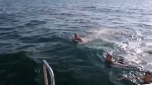 морская рыбалка в сочи и Адлере 🎣 Закажи Экскурсию