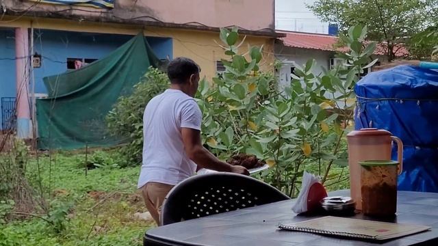 Космические цветы и волшебные грибы в Гоа. Погуляли после дождя. Арамболь. 4 июня 2023 год. #arambo смотреть онлайн