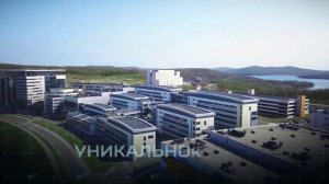о. Русский - центр притяжения инноваций