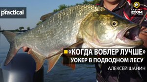 'Когда воблер лучше'. Уокер в подводном лесу. Алексей Шанин