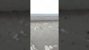 обзор твердотоплевный котел неделька ко-60