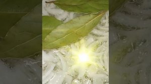 Макароны с консервированной горбушей