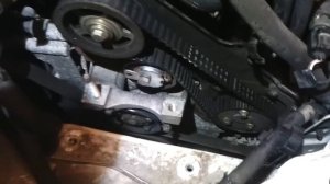 Waterpump Replacement on Ford Transit Connect tddi tdci
