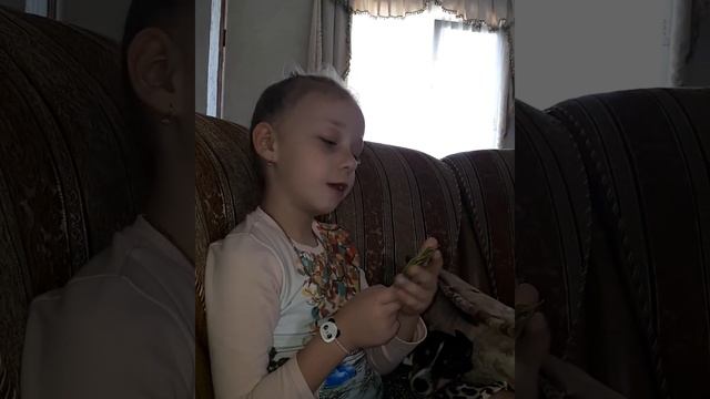 Настольные игры. Интеллектуальные игры. "Вето" смотреть онлайн