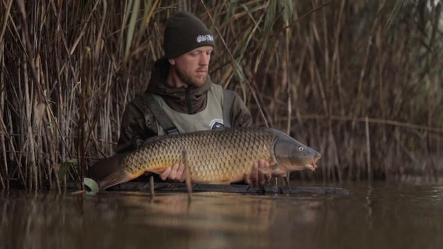 Буква Щ щ и звук [щ']. Обучение грамоте 1 класс. Учитель Михайлова Людмила. смотреть онлайн