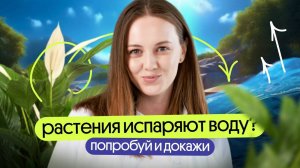 Транспирация как доказать, что растения испаряют воду Важный опыт из ЕГЭ по биологии