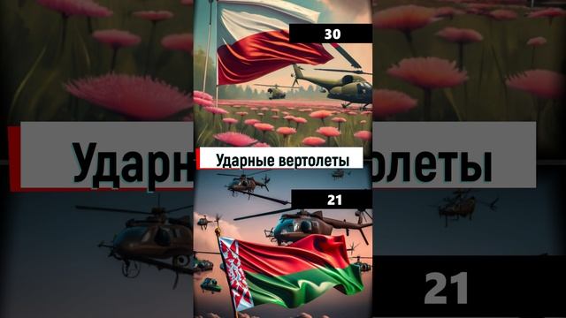 Польша vs Беларусь | Сравнение военной мощи Польши и Беларуси в 2023 году