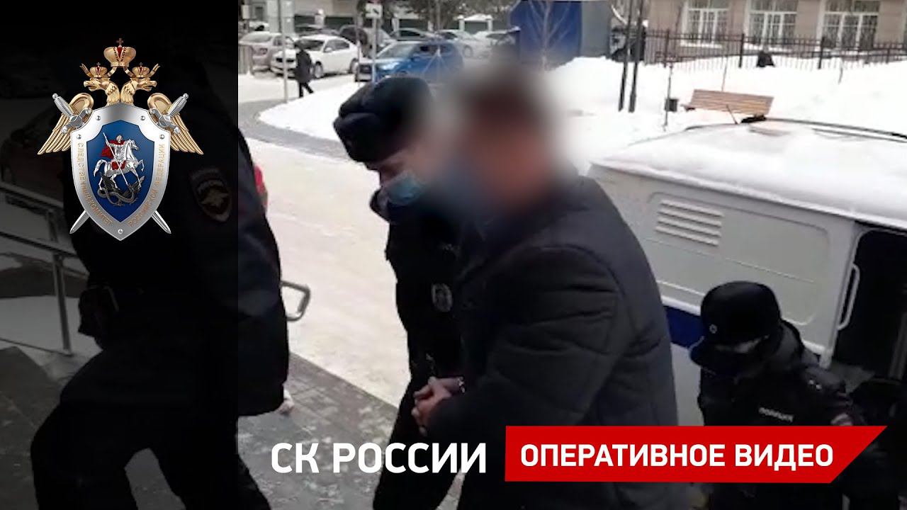 Задержан второй фигурант по уголовному делу о незаконной вырубке леса в Смоленской области