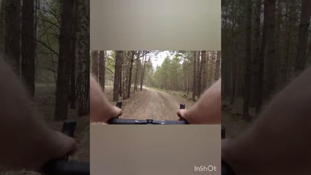 Велозаезд на 100 км