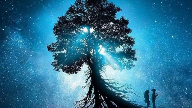 Путь к Роду (часть 3). Лаванда. Слушаю Себя (17.02.2018) смотреть онлайн