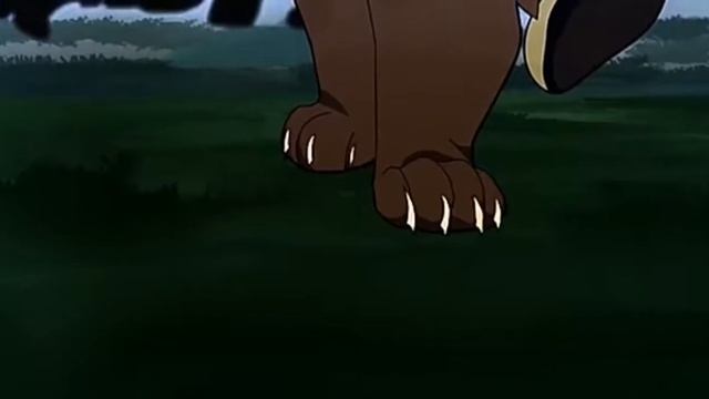 Огнезвёзд (коты воители) клип - Я не сплю я живой на русском. смотреть онлайн